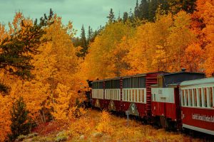 Leadville train in fall foliage